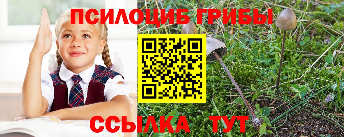 Аксай  Галлюциногенные грибы мицелий  Вход с VPN 