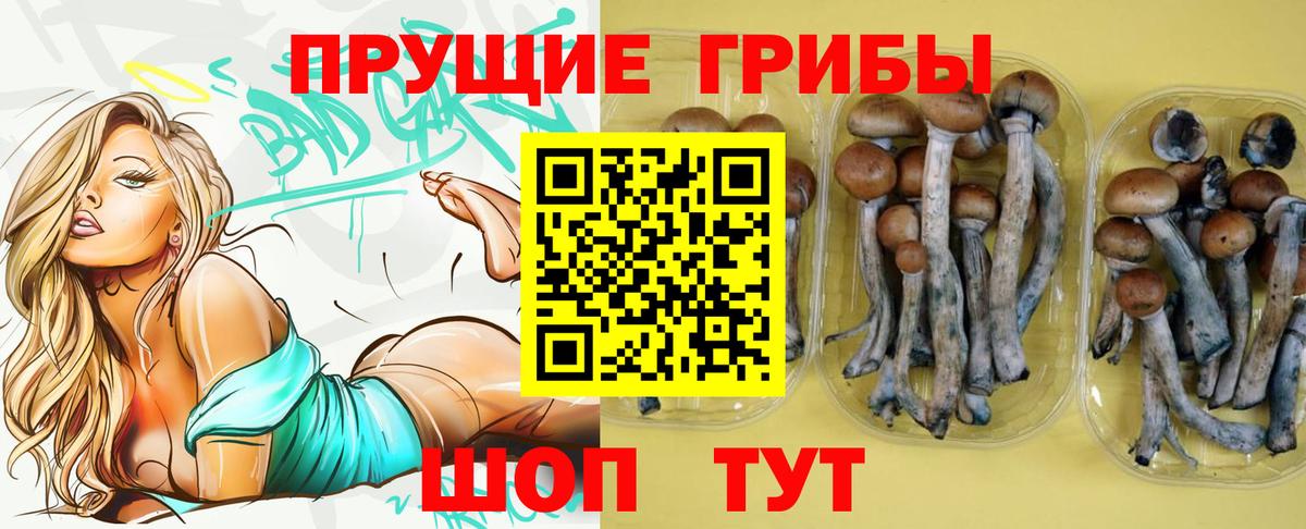 Галлюциногенные грибы GOLDEN TEACHER Аксай